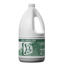 X-5*LAVANDINA x 2 LITROS TRAD (B)  -0109042